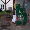 le martinet : Champion