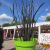 Festi Forge Corcieux,(88) 2015