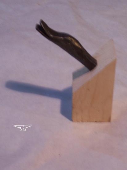 canard