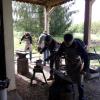 Stage Forge Mai 2019