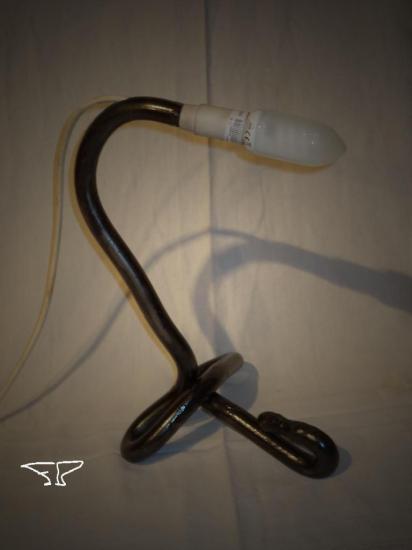 lampe spermato nov 12