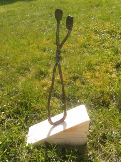 Autobioplastie© Rencontre F16